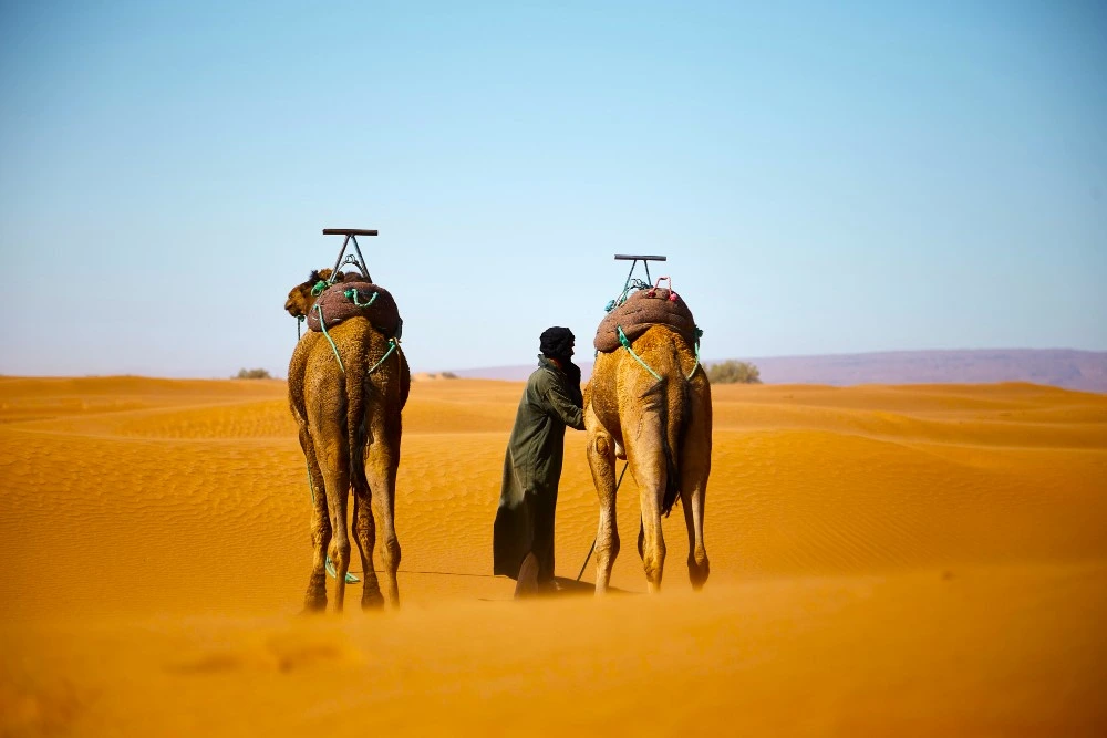 SAHARA DESERT