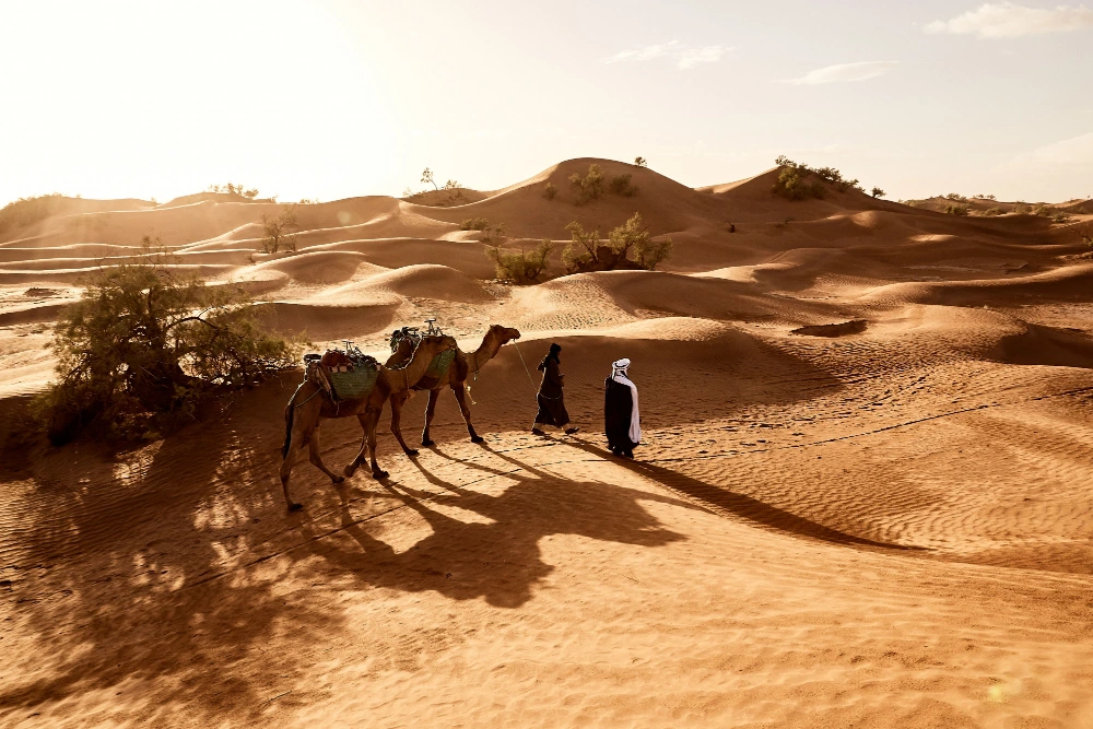 CAMEL RIDE IN MERZOUGA