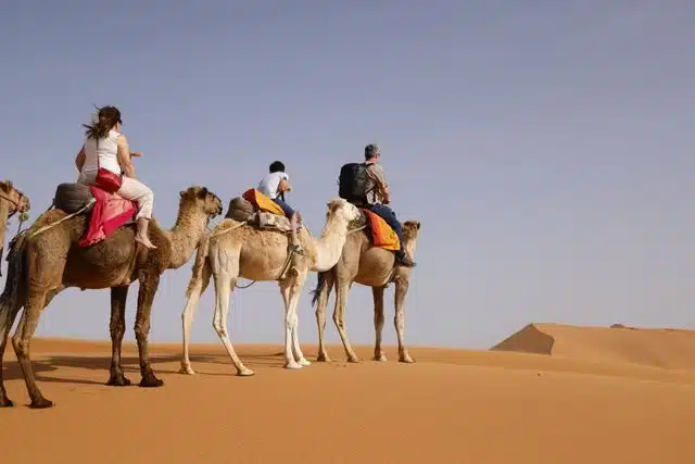 3 Days Desert Tour from Marrakech to Fes