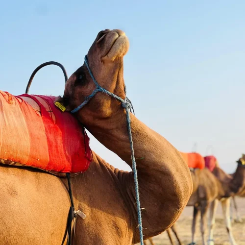 Morocco 7 Day Itinerary